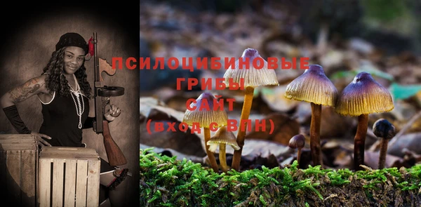 экстази Пестово