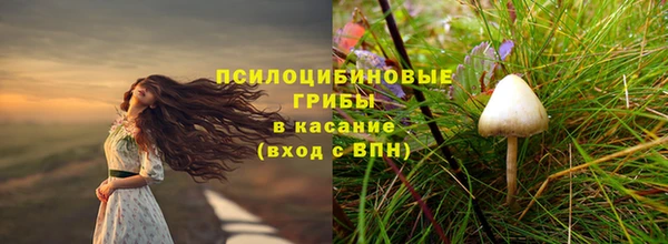 экстази Пестово