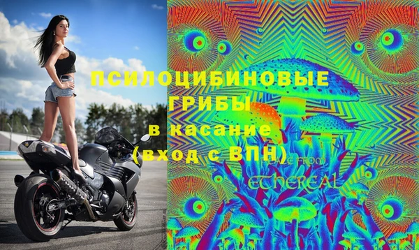 мет Абаза